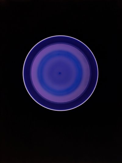 无题，2004 作者 理查德·格林