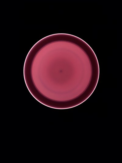 无题》，2004 年 作者 理查德·格林