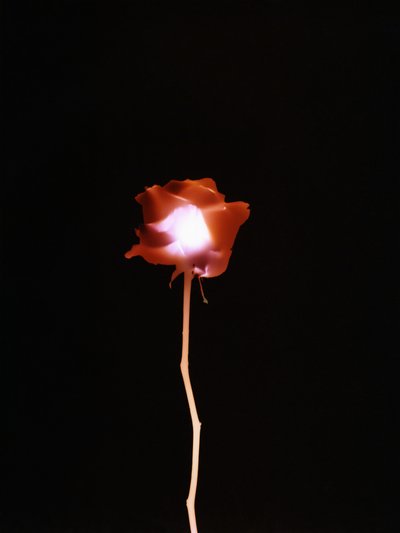 无题，2007 作者 理查德·格林
