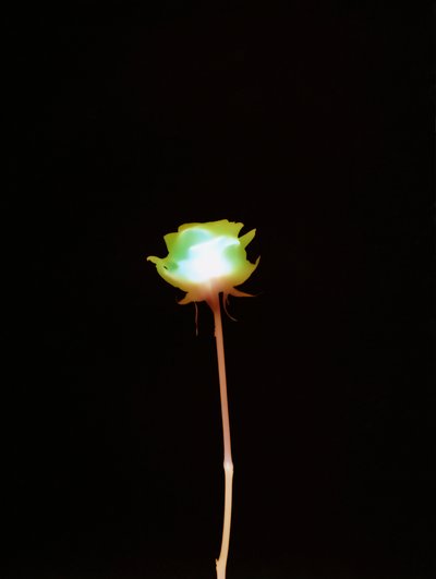 无题，2007 作者 理查德·格林