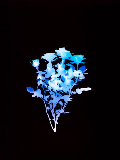 无题，2008 年 作者 理查德·格林
