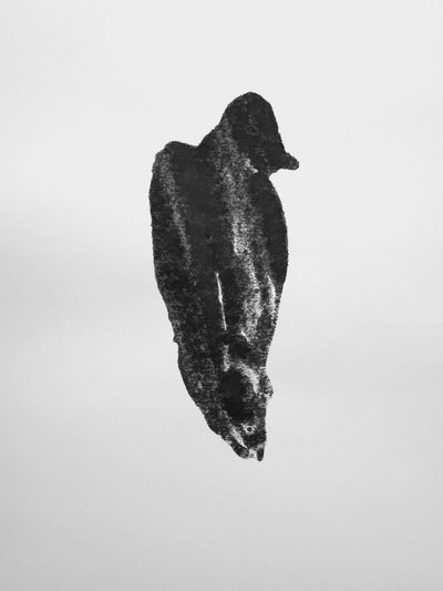 无题》，2009 年（单版画） 作者 理查德·格林
