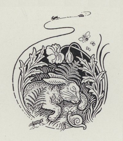 The Hare And The Tortoise (engraving) 作者 理查德·海威