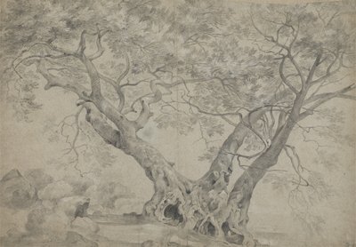 内米湖畔的 Arbra Sacra，c.1754-56（纸上黑白粉笔） 作者 理查德·威尔逊