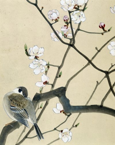 鸟 - Riou Chim 的日本绘画，十九世纪末 作者 刘钦