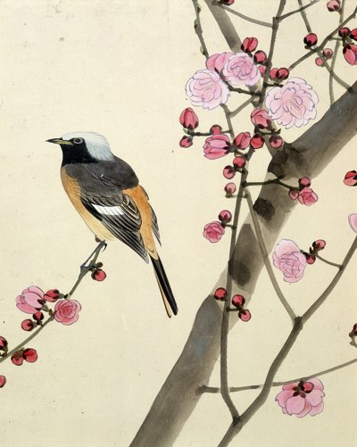 鸟 - 日本画家 Riou Chim 的作品，19 世纪末 作者 刘钦