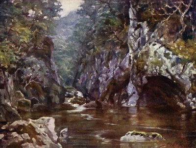 仙女谷，Bettws-y-Coed（彩色印刷）。 作者 罗伯特（后）福勒