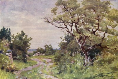 Llanrug附近的田间小路（彩色平印）。 作者 罗伯特（后）福勒