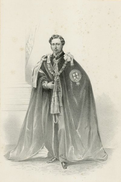 威尔士阿尔伯特-爱德华亲王殿下（chromolitho） 作者 Robert Dudley