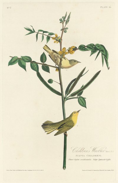 儿童莺歌，1828年。 作者 罗伯特·哈维尔
