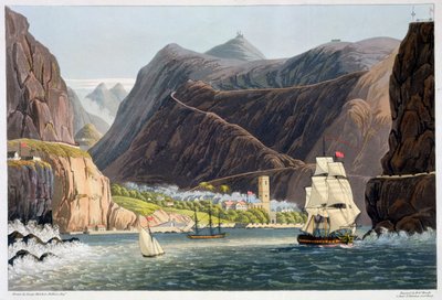 圣赫勒拿岛的道路，1815年 作者 罗伯特·哈维尔
