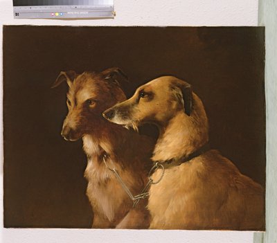 鹿猎犬 作者 罗伯特·亨利·罗