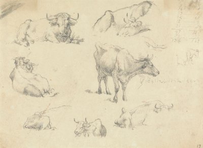 各个角度的奶牛 作者 Robert Hills