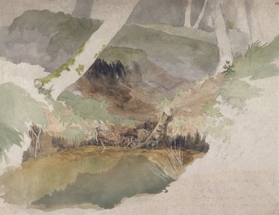 森林池（纸上石墨） 作者 罗伯特·希尔斯