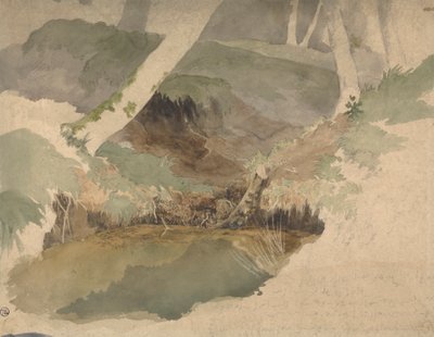 森林池 作者 Robert Hills