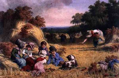 收获领域 作者 罗伯特·希尔斯