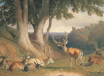 有鹿的风景，约 1800 年（纸上铅笔和水彩画） 作者 罗伯特·希尔斯
