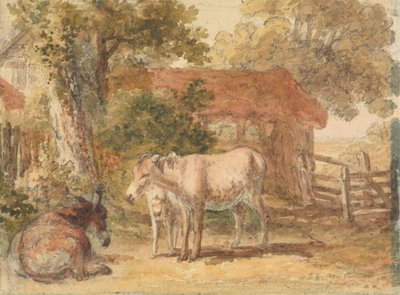 三头驴 作者 罗伯特·希尔斯