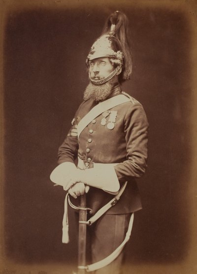 Sergeant-Major Bailey，第一位皇家龙骑兵卫队 作者 罗伯特·霍利特
