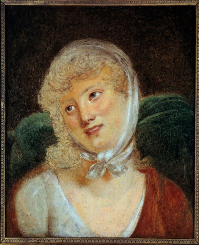Mary Laczinska 的肖像，Walewska 伯爵夫人 (1789 - 1817)。 罗伯特·勒费弗 (1755-1830) 的绘画 作者 罗伯特·勒菲佛尔