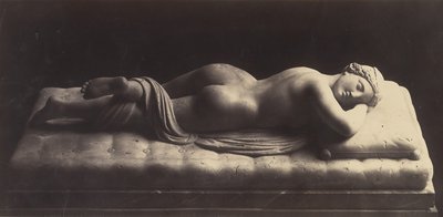雌雄同体》，约1861年。 作者 罗伯特·麦克弗森