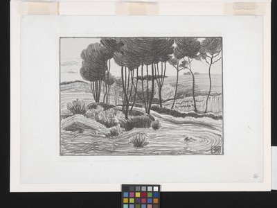 白杨树（石版画） 作者 罗伯特·波希尔·贝文