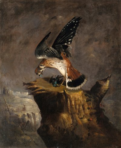 秃鹫和它的猎物，1844年。 作者 罗伯特·塞尔登·邓肯森