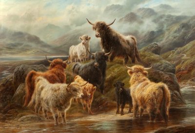 高地牛，1894年 作者 Robert Watson