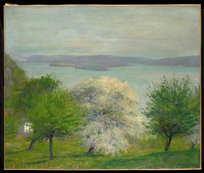 Apple Blossom，1903年 作者 罗伯特·威廉·冯诺