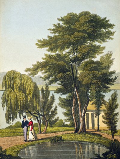 Clifton，来自&39;Naturama，或者，自然的无尽的泰晤士观点转换&39;，1825年（手工彩色的aquatint） 作者 罗伯特·哈弗尔