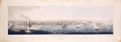 纽约的全景，取自北[哈德逊河]，1844年（手工彩色蚀刻和aquatint，第五州） 作者 罗伯特·哈弗尔