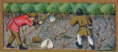 3月-在15世纪的葡萄园中工作，1939年。 作者 罗宾特·德斯塔德