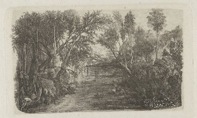 有溪流和岸边树木的风景
Le Cours d
