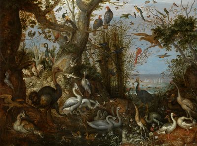 家禽 作者 Roelandt Jacobsz. Savery