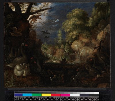 鸟类创作，1619年 作者 罗兰特·雅各布斯（Roelandt Jacobsz）。储蓄
