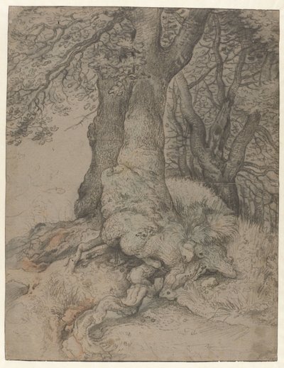 树干和树根研究
研究树干和树根 作者 Roelant Savery