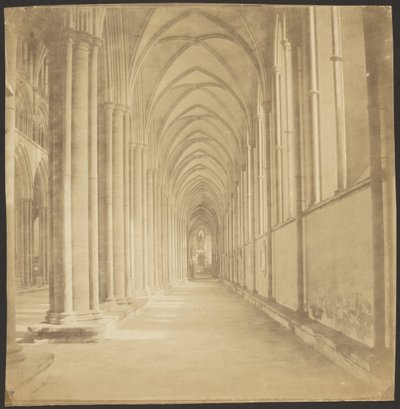 索尔兹伯里大教堂南过道 作者 罗杰芬顿