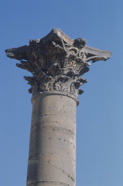 柱子与科林斯首都从nymphaeum，罗马，2世纪 作者 小说