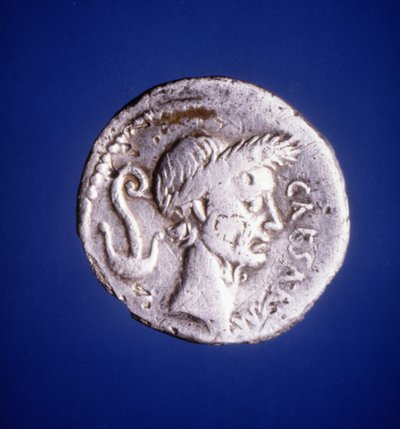 Julius Caesar - Roman coin 作者 小说