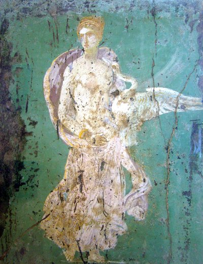 丽达和天鹅，壁画，庞贝城 作者 小说