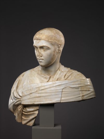 西弗勒斯·亚历山大（Severus Alexander）的大理石肖像半身像，公元230-235年（大理石） 作者 小说