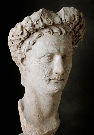 罗马皇帝多密善 (Titus Flavius Domitian)（公元 51-96 年）的大理石头像，罗马国家博物馆 - 多密善 (Titus Flavius Domitian) 的头像（公元 51-96 年）。 大理石。 意大利罗马国家博物馆 作者 小说