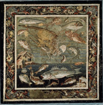 Marine life (mosaic 作者 小说