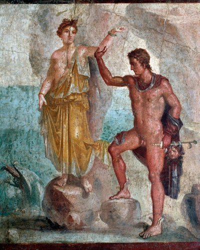珀尔修斯（Perseus）抱着美杜莎（Medusa）的头，正在给仙女座（Andromeda）抽血 作者 小说