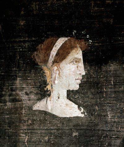 Portrait of a woman probably Cleopatra 作者 小说