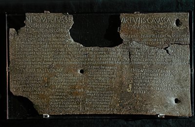 罗马艺术庞培乌斯-斯特拉博尼-格尼奥法令，公元前 98-90 年 作者 Roman