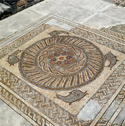Remains of the mosaics of the roman city 作者 小说