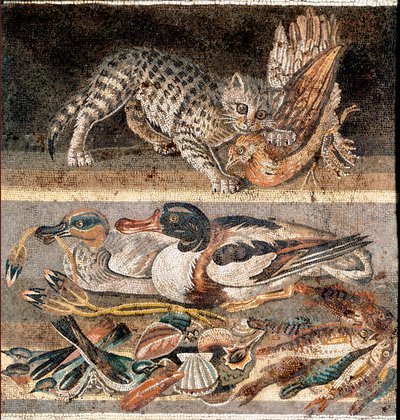 罗马艺术：猫吃鹧鸪和野鸭 公元前 1 世纪上半叶）罗马，Museo Nazionale Romano 作者 小说