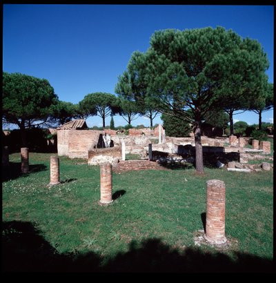 罗马艺术：第四区 Campo della Magna Mater 遗址的景色 作者 小说