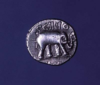 代表大象的银币，Scipions 的 fetiche 动物。 公元前 251 年，Lucius Caecilius Metellus 夺取了迦太基象。 公元前 47-46 年。 作者 小说